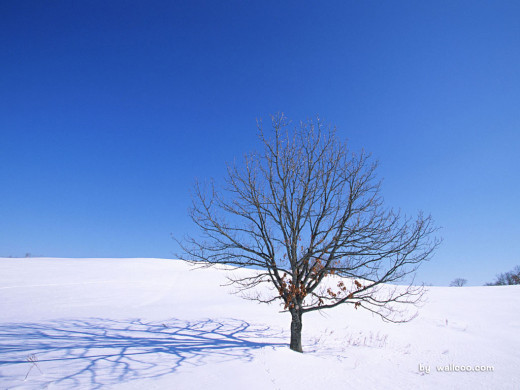 27833 (a): :1024x768